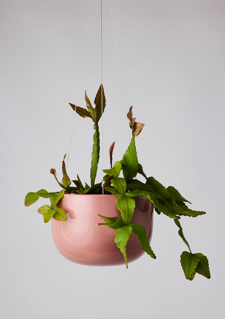 Glazed Earth Hanging Planter Ochre Gloss