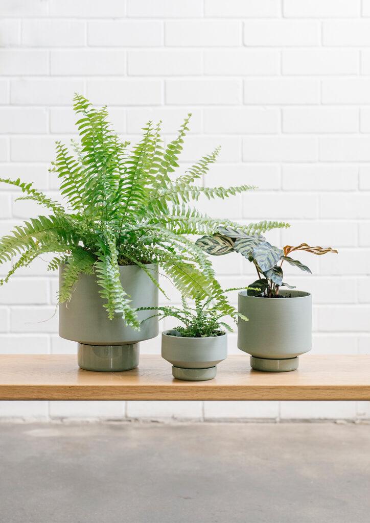 Gro Pot