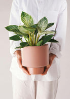Gro Pot