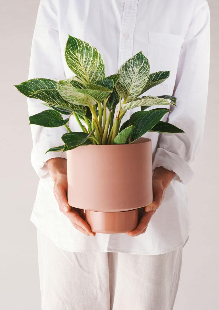 Gro Pot