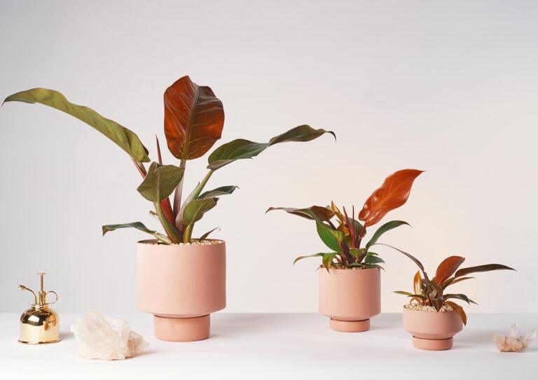Gro Pot