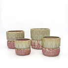 Groovy Planter Large Floss