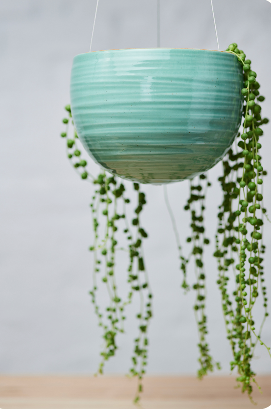 Hanging Spherical Planter Celadon Green
