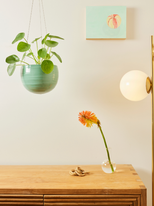 Hanging Spherical Planter Celadon Green