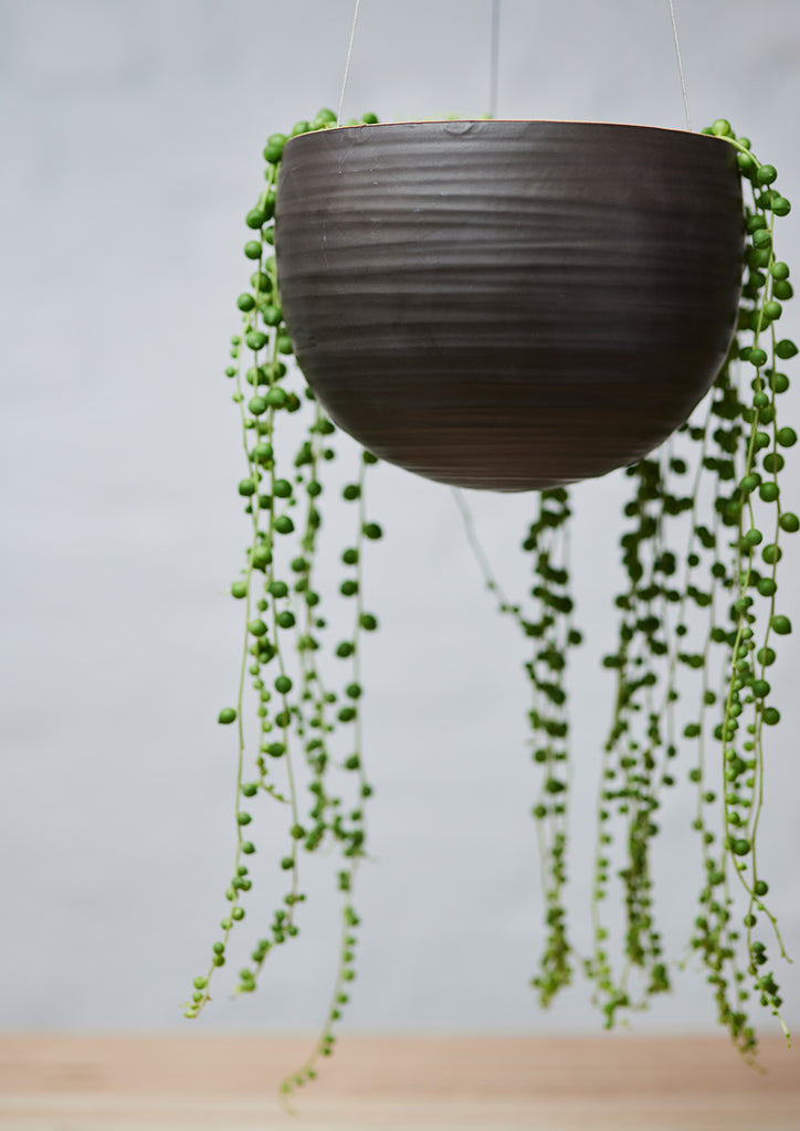 Hanging Spherical Planter Matt Black