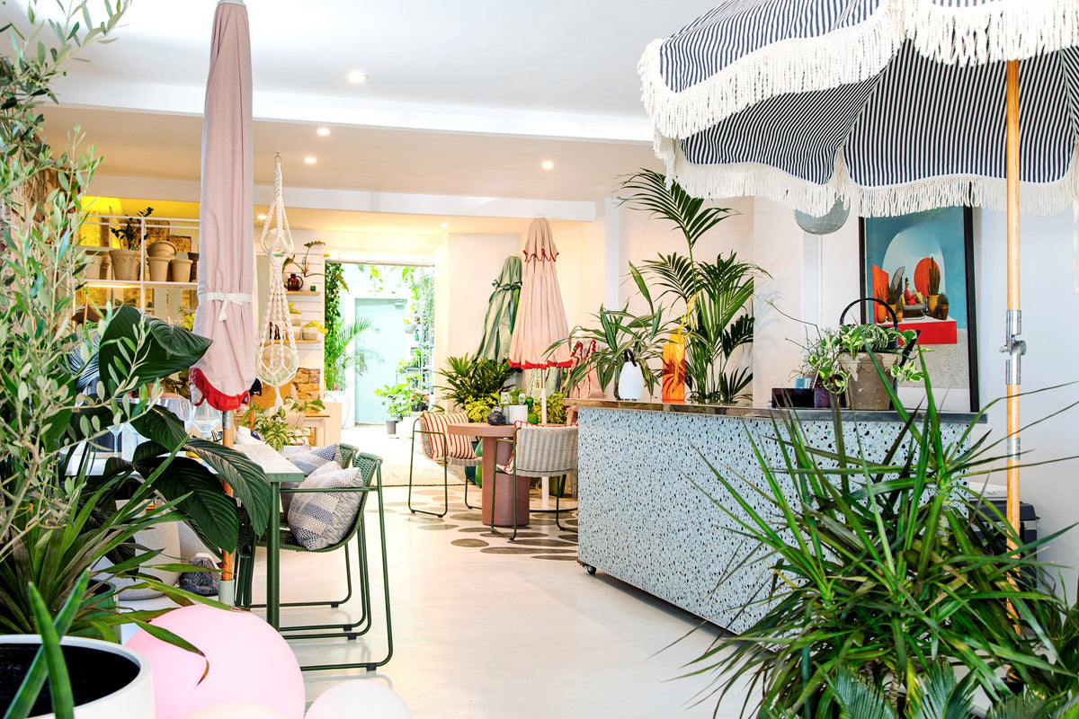 Garden & Outdoor Design, Plants & Styling | Terrace Outdoor Living