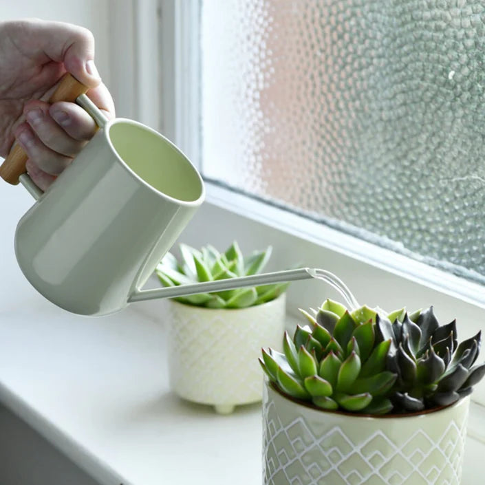 Indoor Watering Can Pale Jade