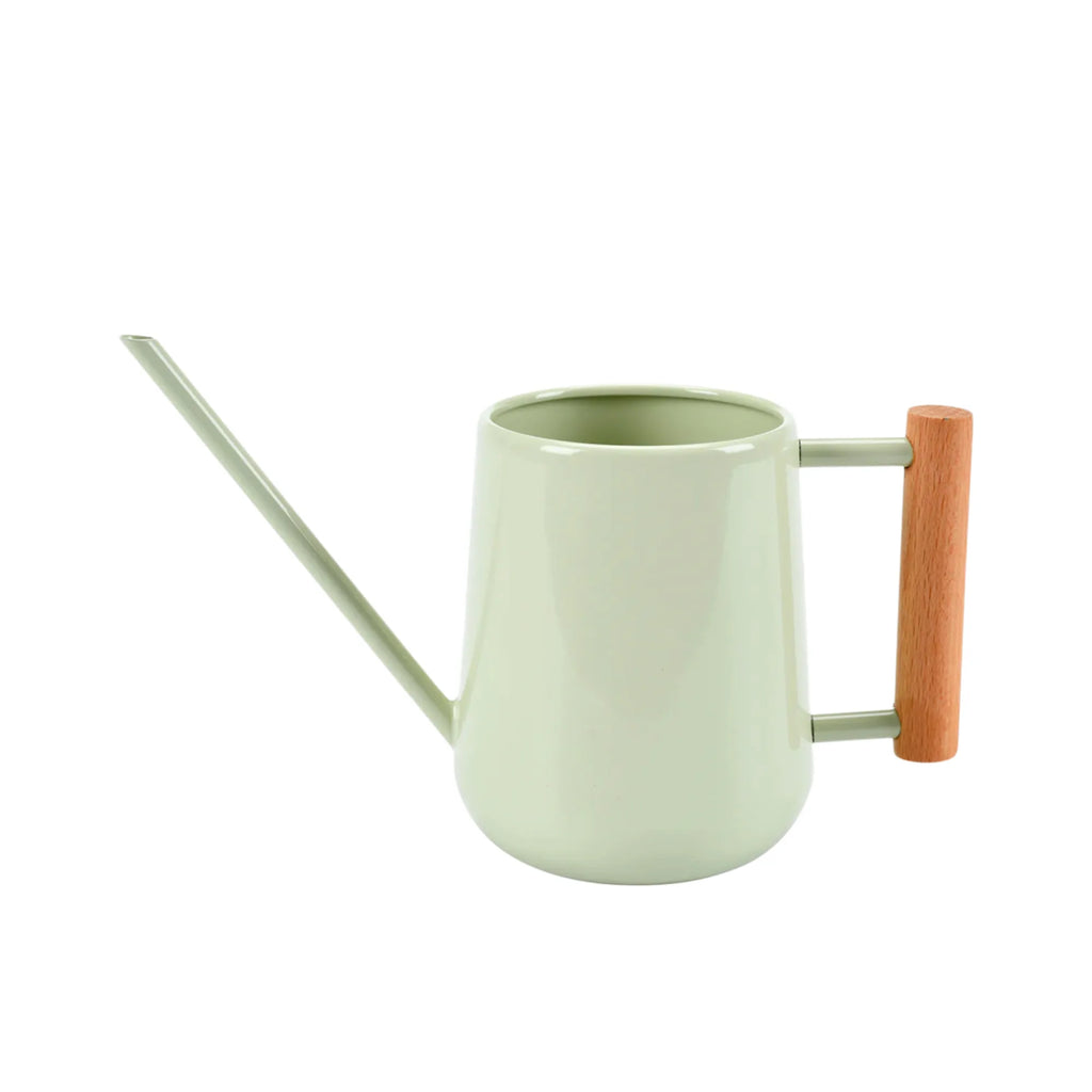 Indoor Watering Can Pale Jade