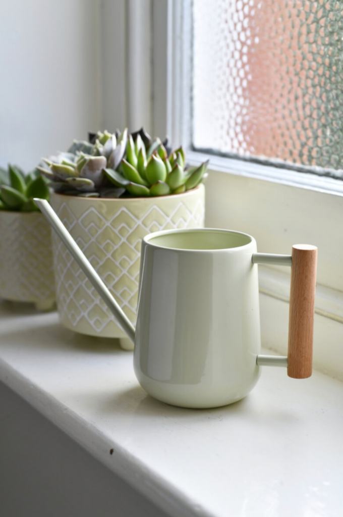 Indoor Watering Can Pale Jade