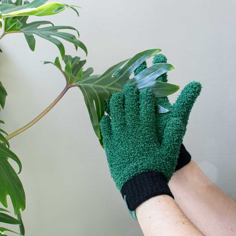Leaf Love Gloves