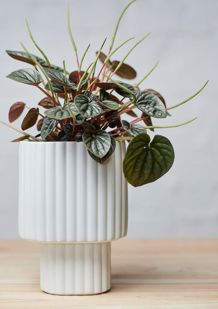 Modular Stack Planter White