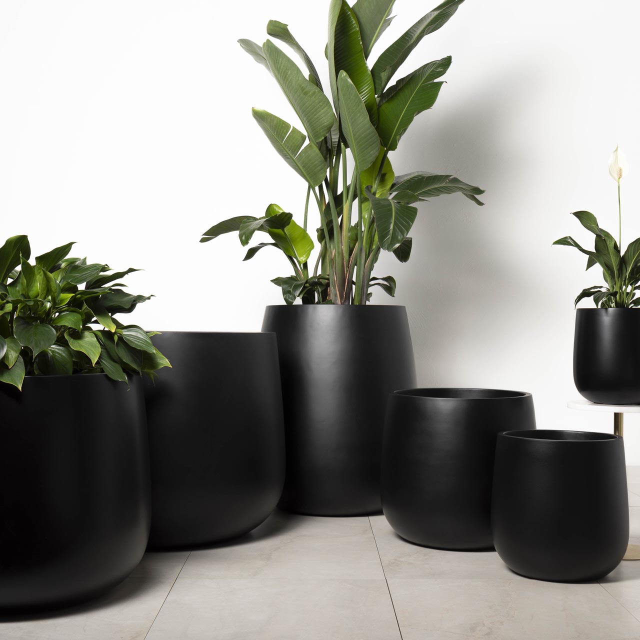 indoor plant pots au NEW Lightweight Indoor Bung Tub Planter Pot in Matt Black – Terrace Outdoor Living