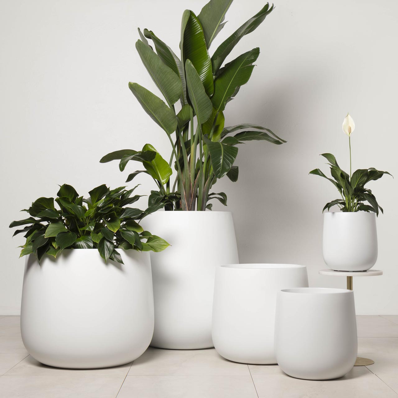 indoor plant pots australia NEW Lightweight Indoor Bung Tub Planter Pot in Matt White – Terrace Outdoor Living