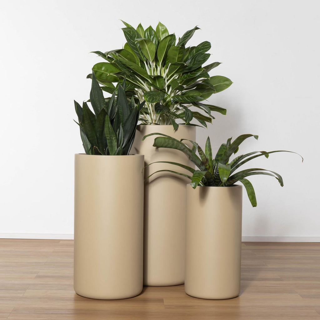 Narvik Tall Cylinder