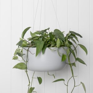 Oslo Hanger