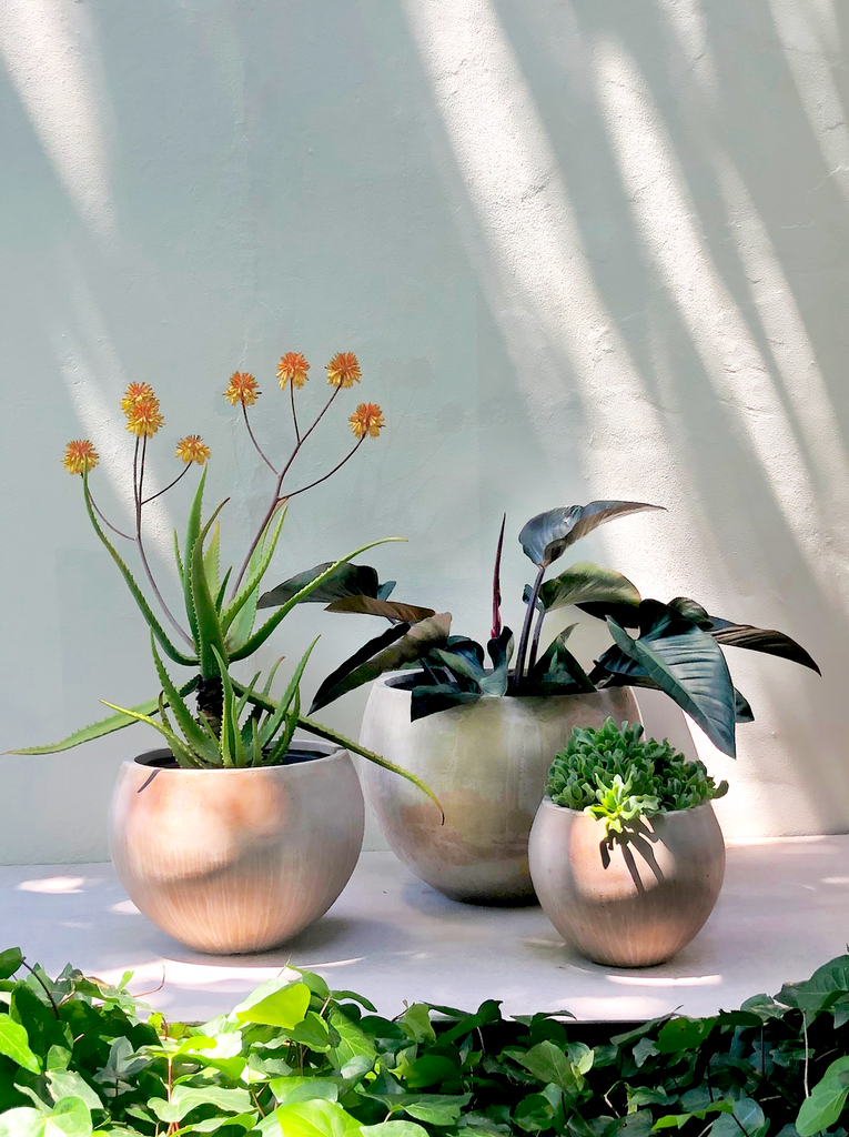 Round Light Weight Ball Planter Pot in Sand