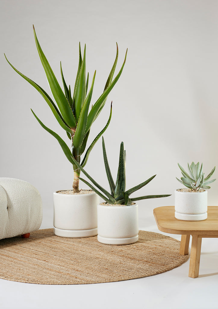 Soft cylinder Pot Small White