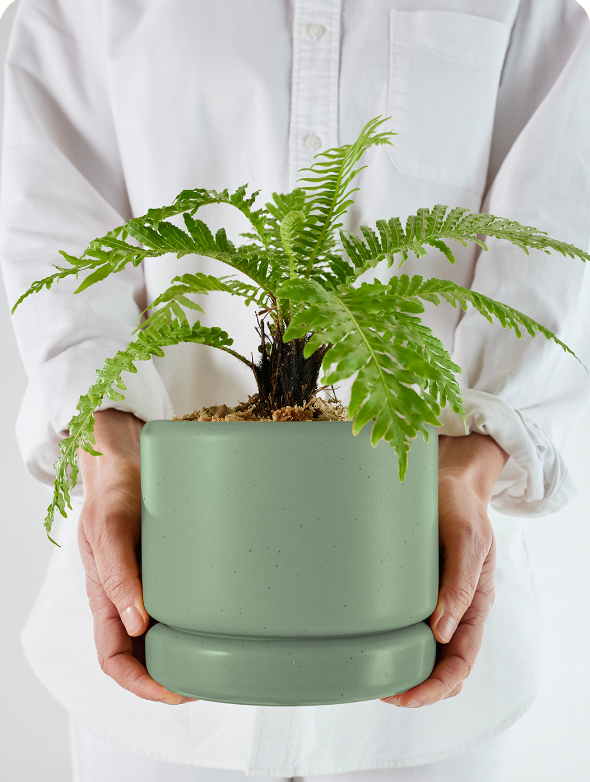 Soft cylinder Pot Small