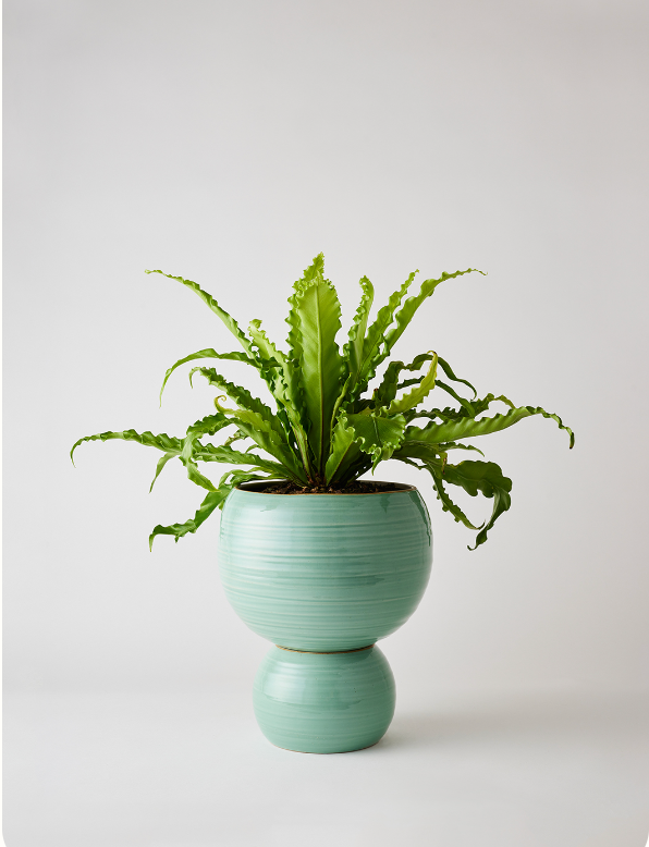 Spherical Planter Celadon Green