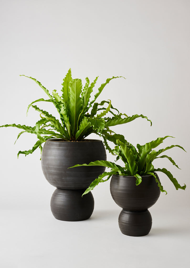 Spherical Planter Matt Black