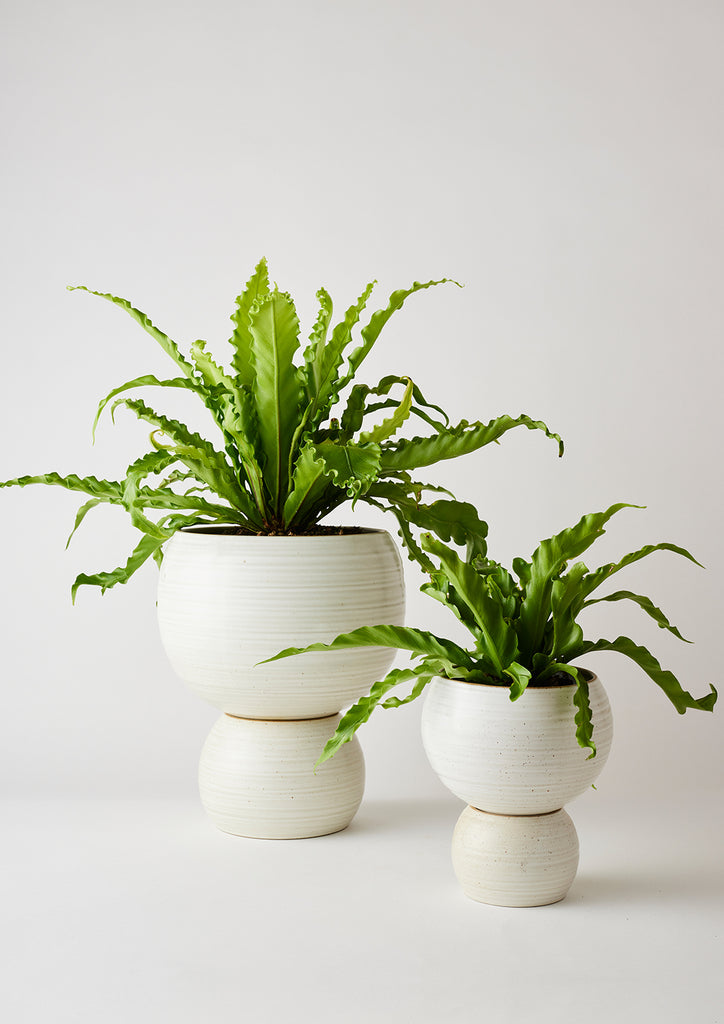 Spherical Planter White