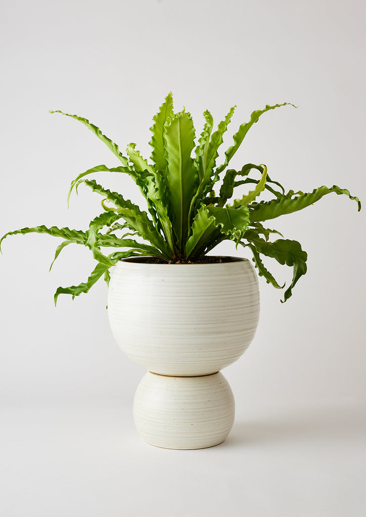 Spherical Planter White