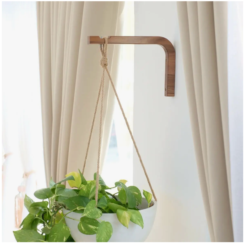 Recycled Hanging Planter with Walnut and Birch Wall Hanger