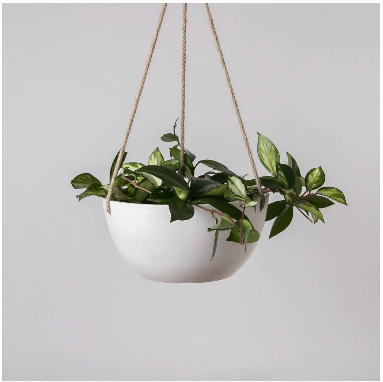 Recycled Hanging Planter with Walnut and Birch Wall Hanger