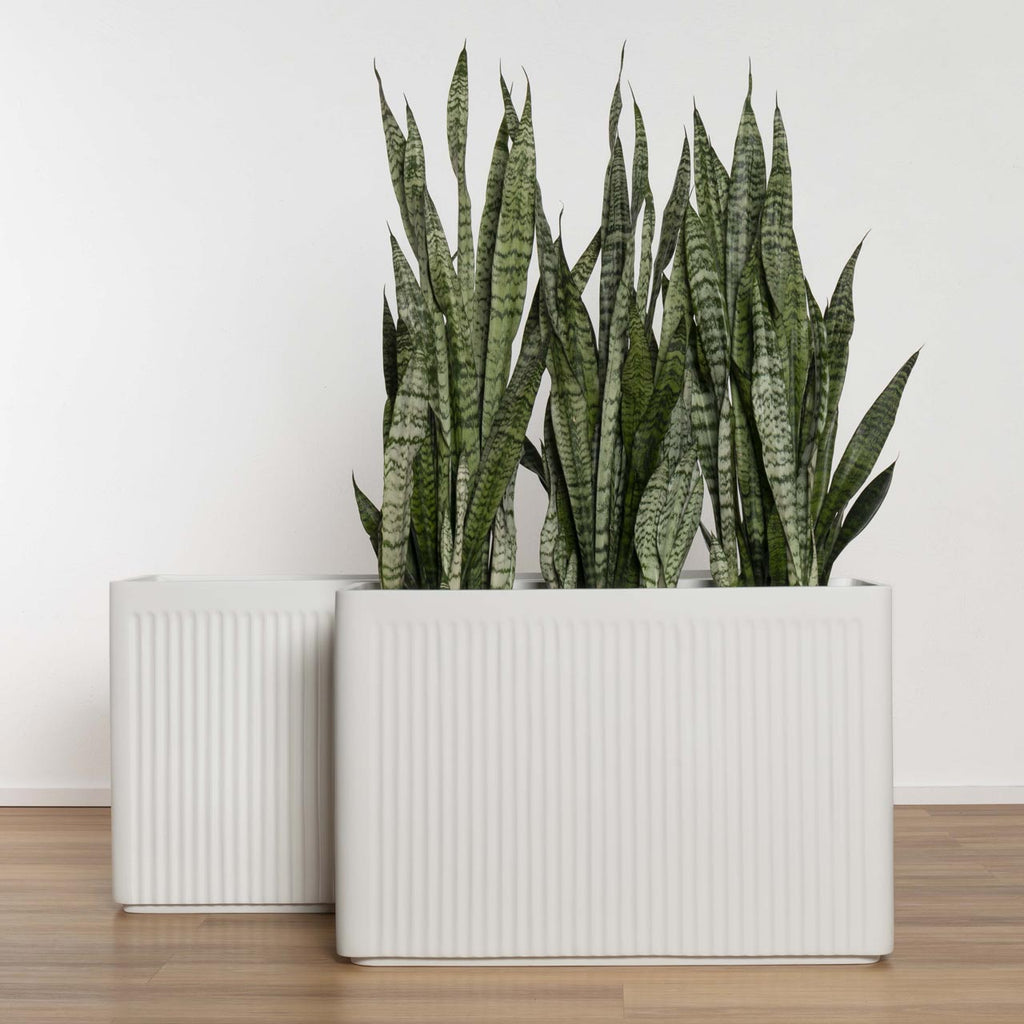 Stavanger Ribbed Trough