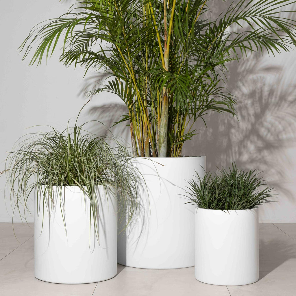 Taringa Cylinder
