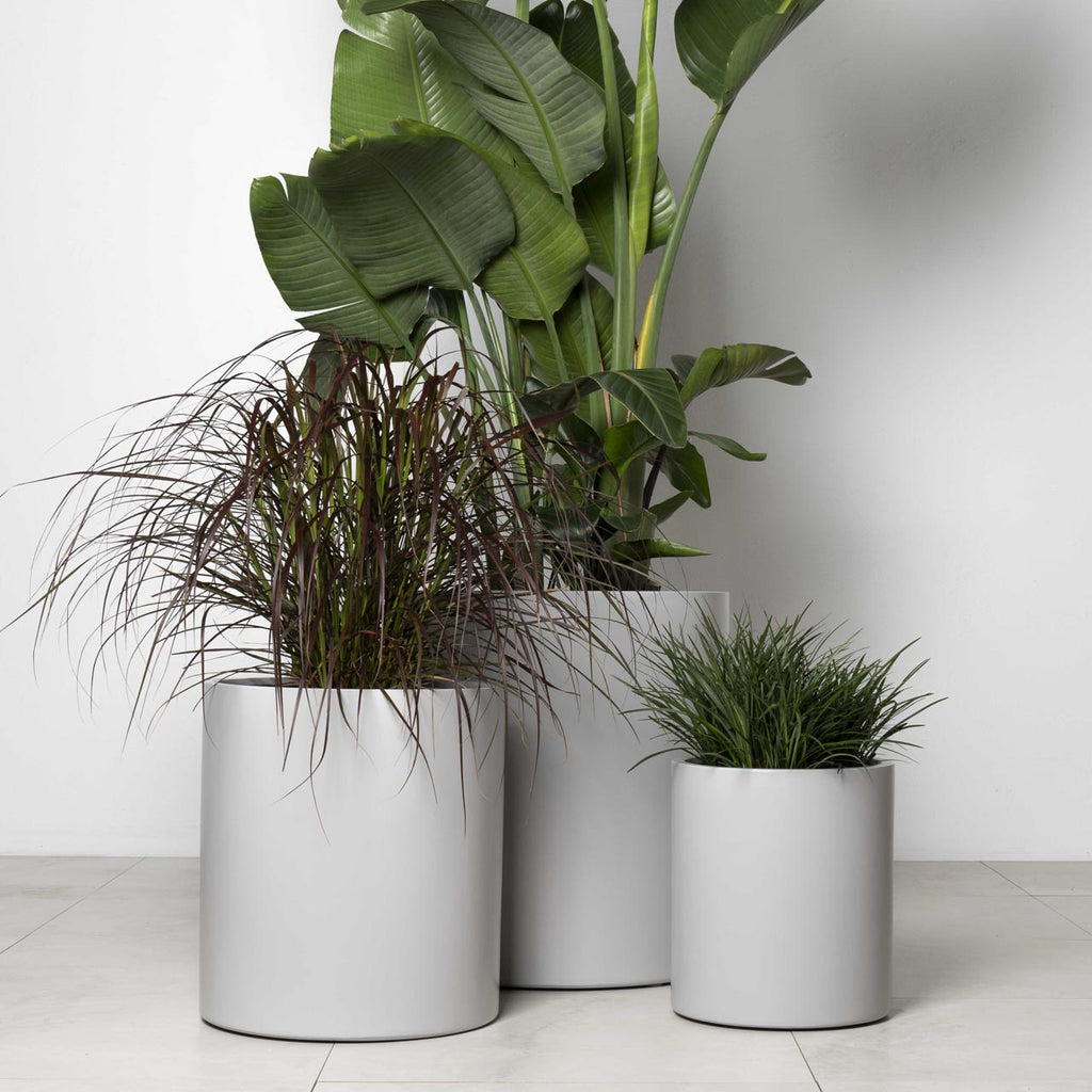 Taringa Cylinder
