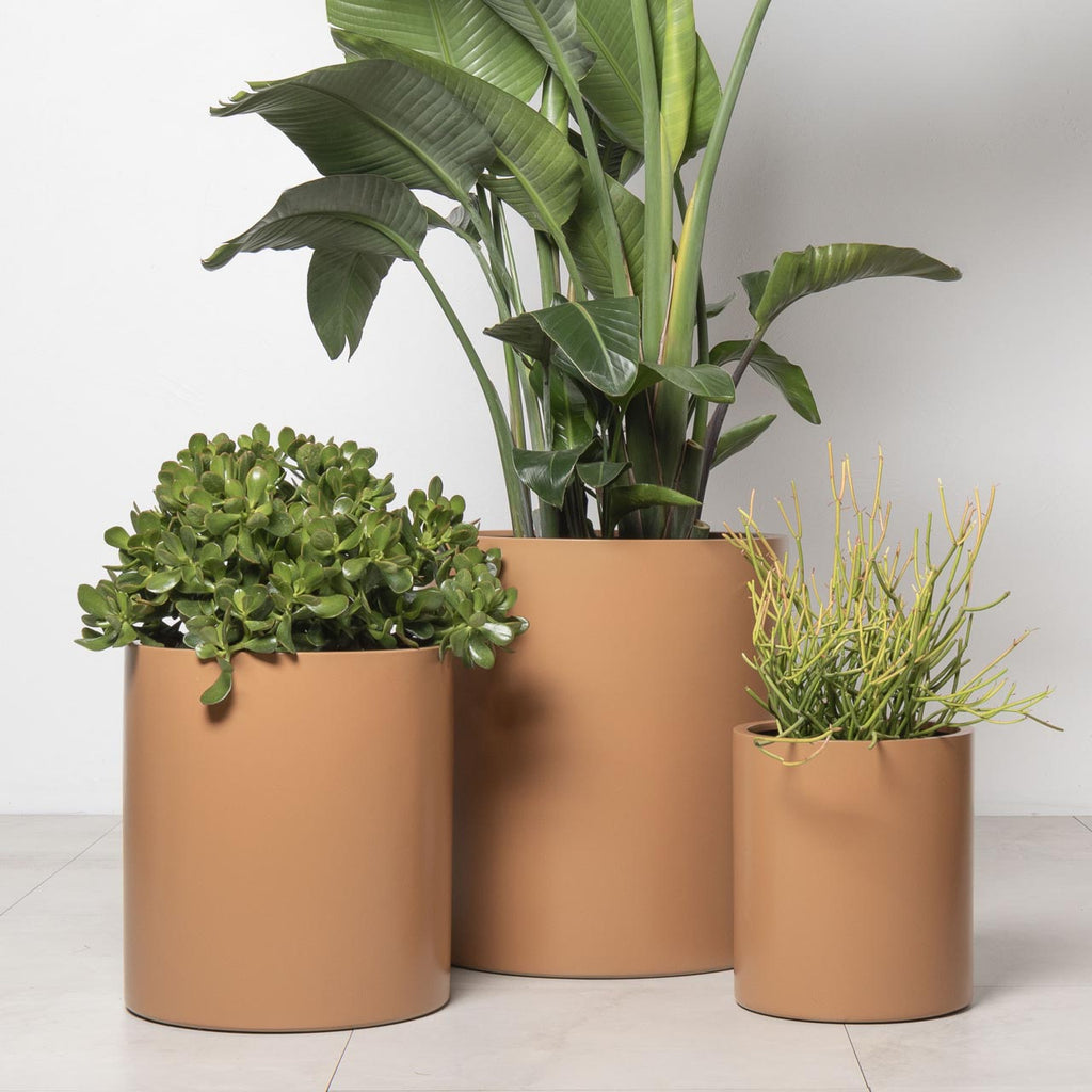 Taringa Cylinder