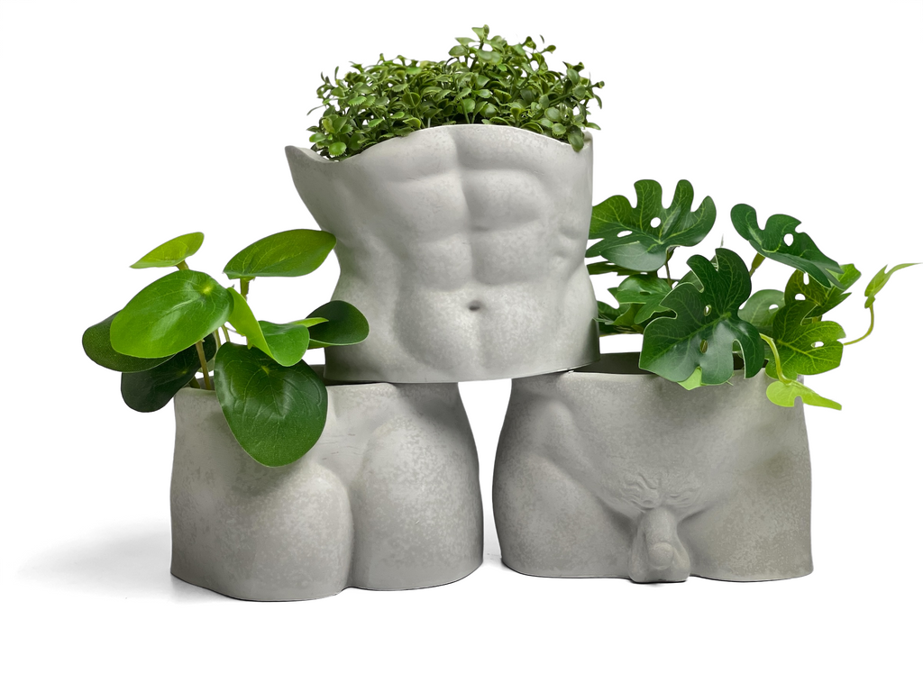 Torso Planter, Male Body Planter Pot, Men Greek Sculpture