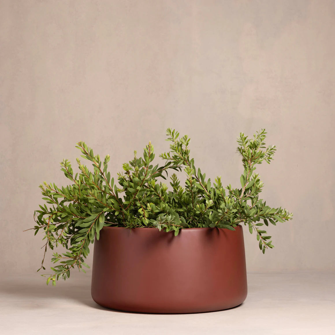 U Jar Pot