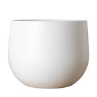 Uppsala Short Cup