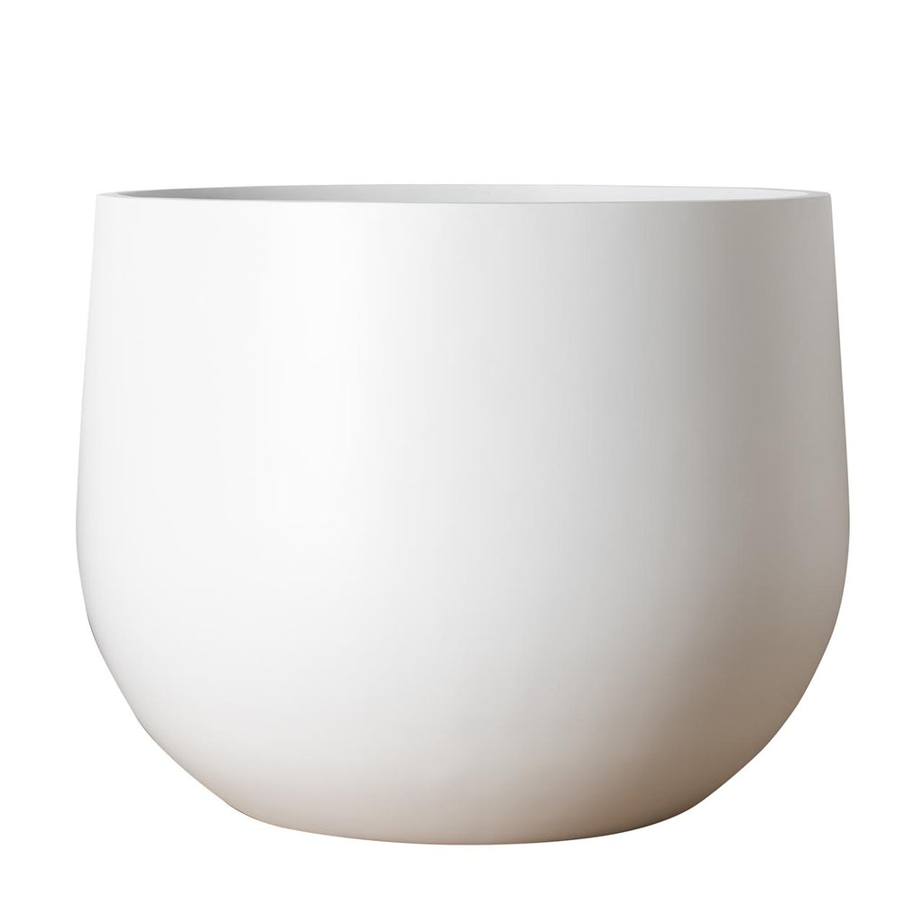 Uppsala Short Cup
