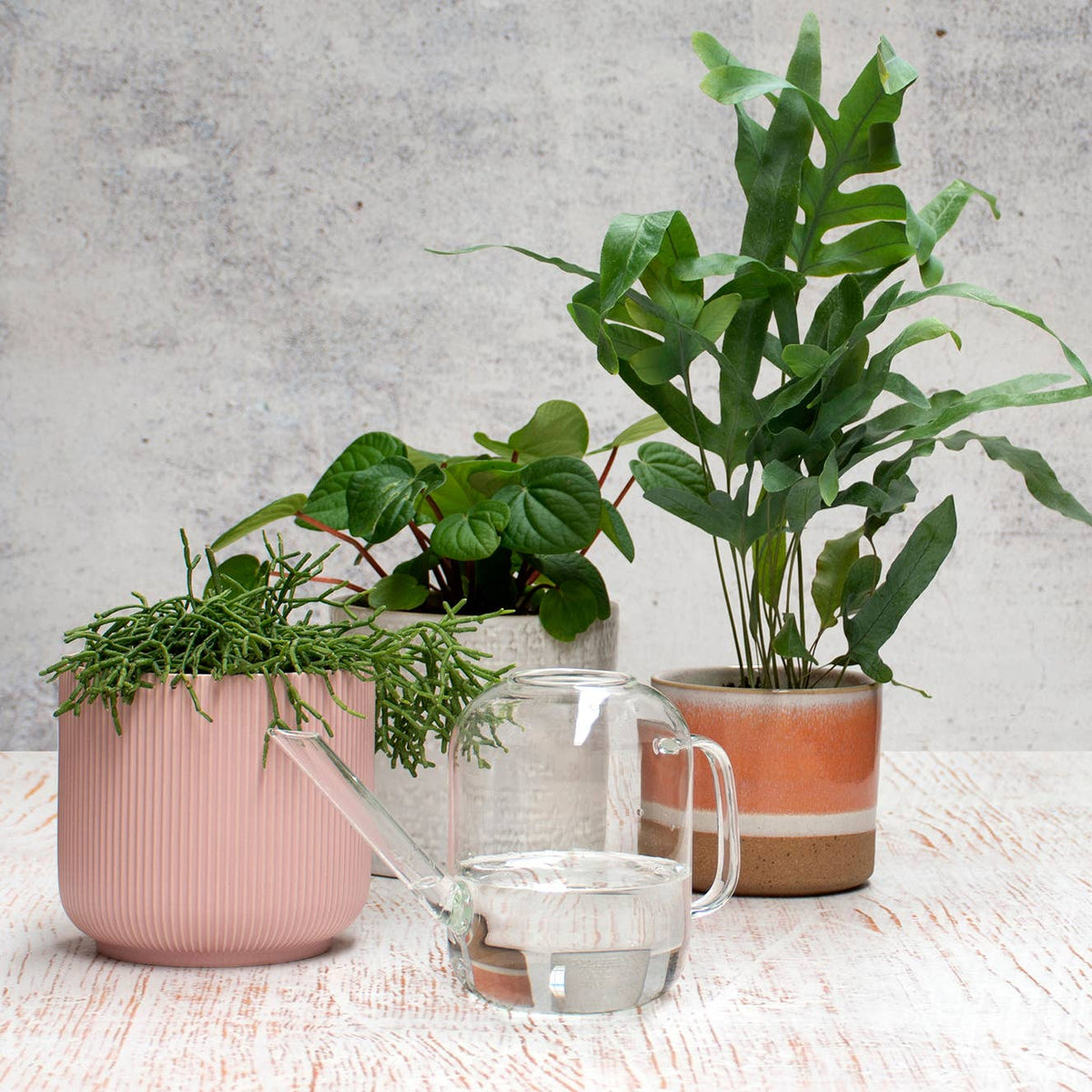 Urban Greens Glass Watering Can