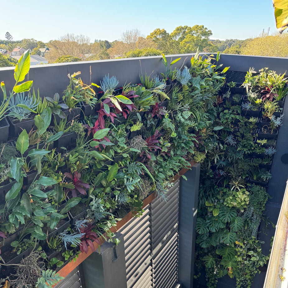 Vertical Gardens Green Walls Photo Inspiration