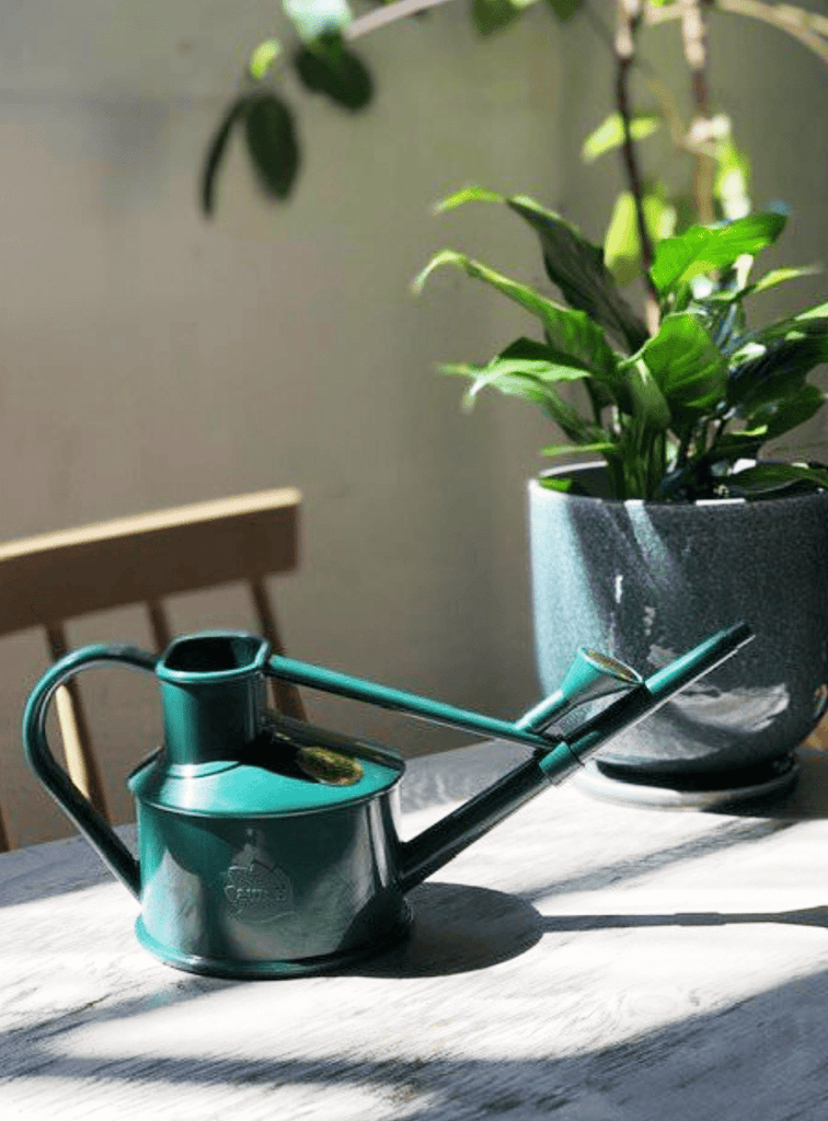 Indoor Watering Can .5 Litres Recycled - Forest Green