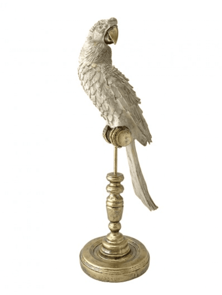 Orinthology Avairy Royal Parrot
