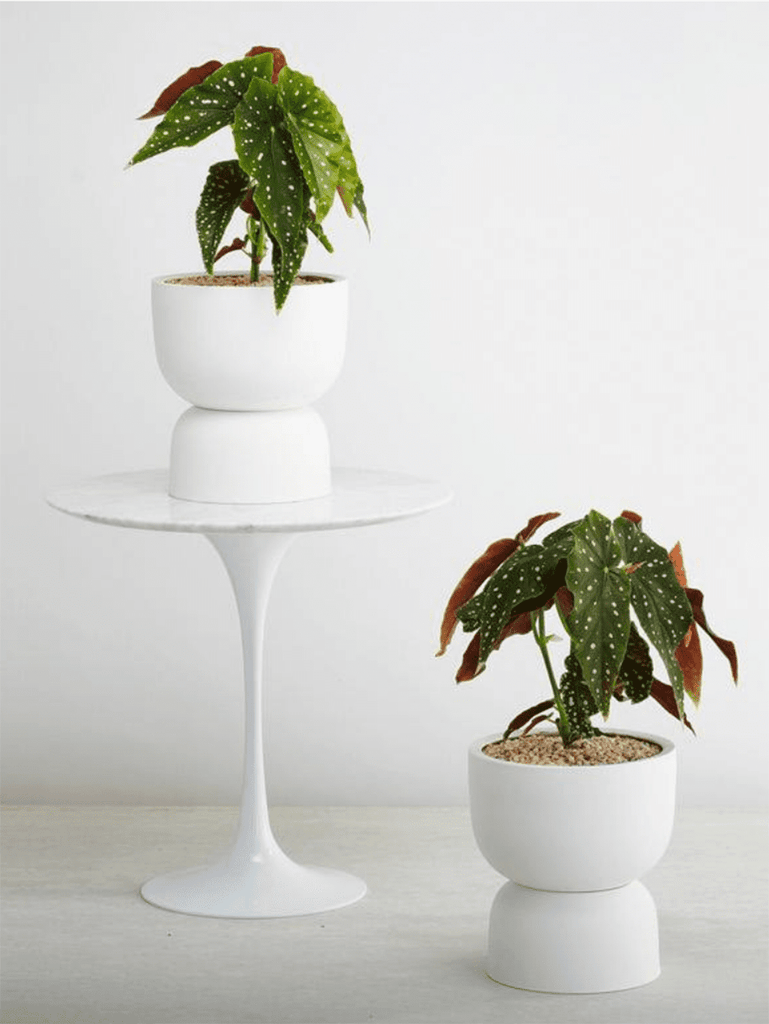 Raw Earth Plant Stand Pot White