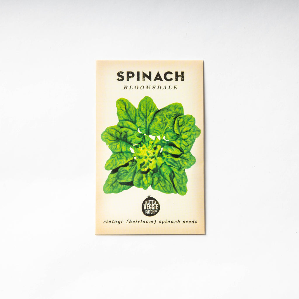 Spinach 'Bloomsdale' Heirloom Seeds