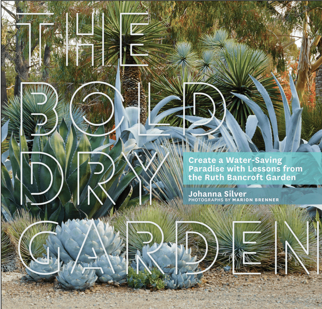 The Bold Dry Garden / Johanna Silver
